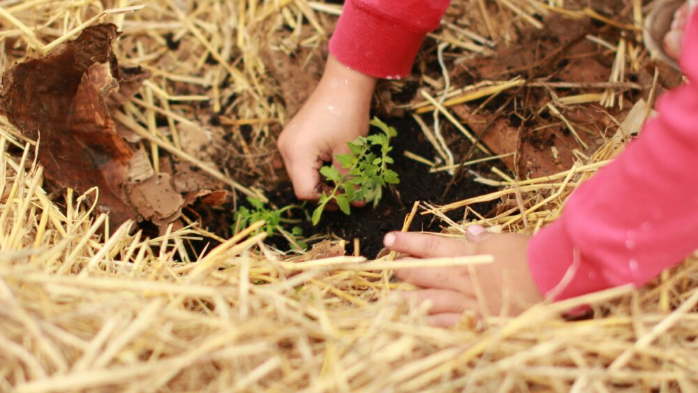 Gartenarbeit mit Kindern